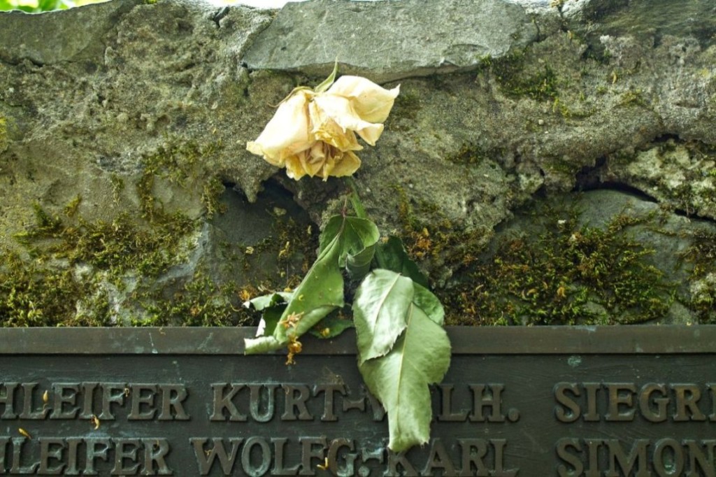 Die verwelkte Rose am Schloss Braunfels